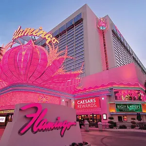 3* אתר נופש Flamingo Vegas & Casino